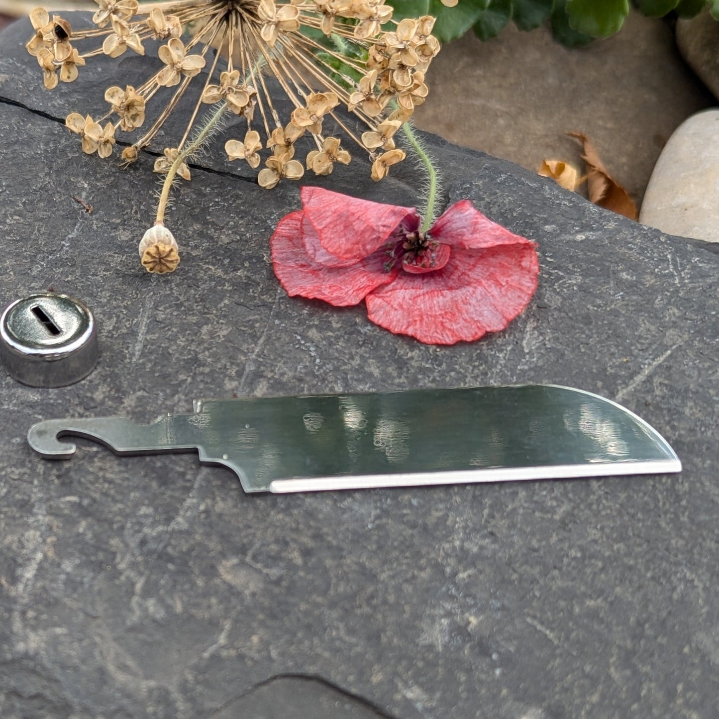 Cheese Knife